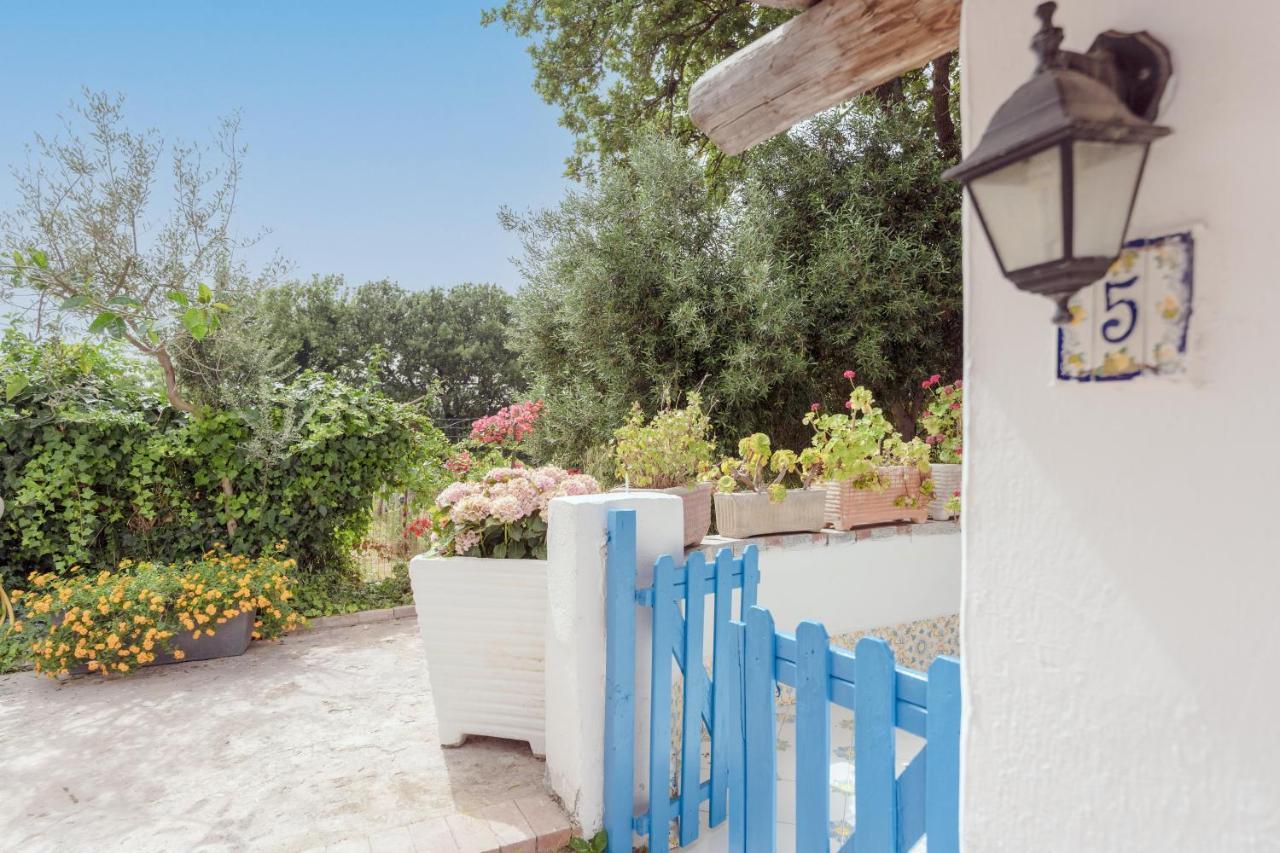 Le Querce Villa Procida Bagian luar foto