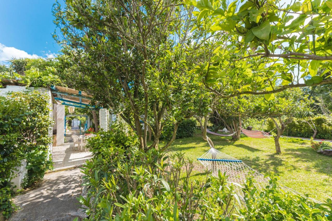 Le Querce Villa Procida Bagian luar foto