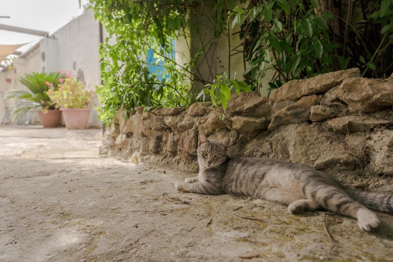 Le Querce Villa Procida Bagian luar foto