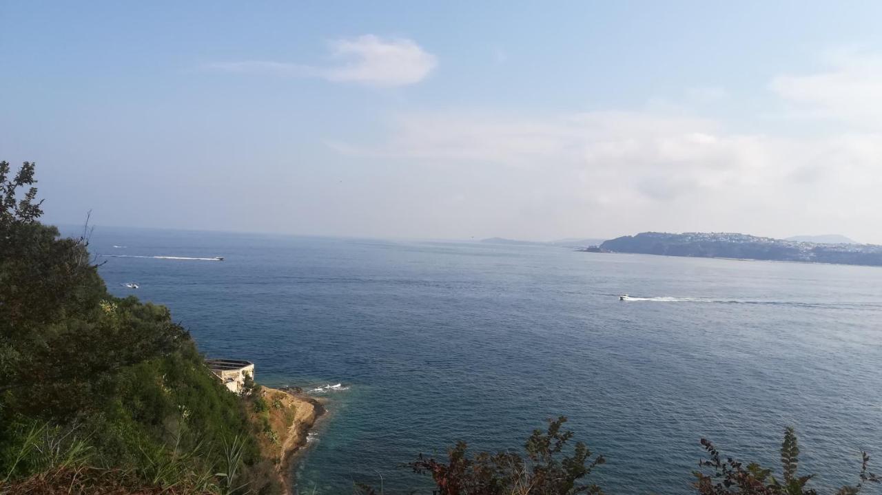 Le Querce Villa Procida Bagian luar foto