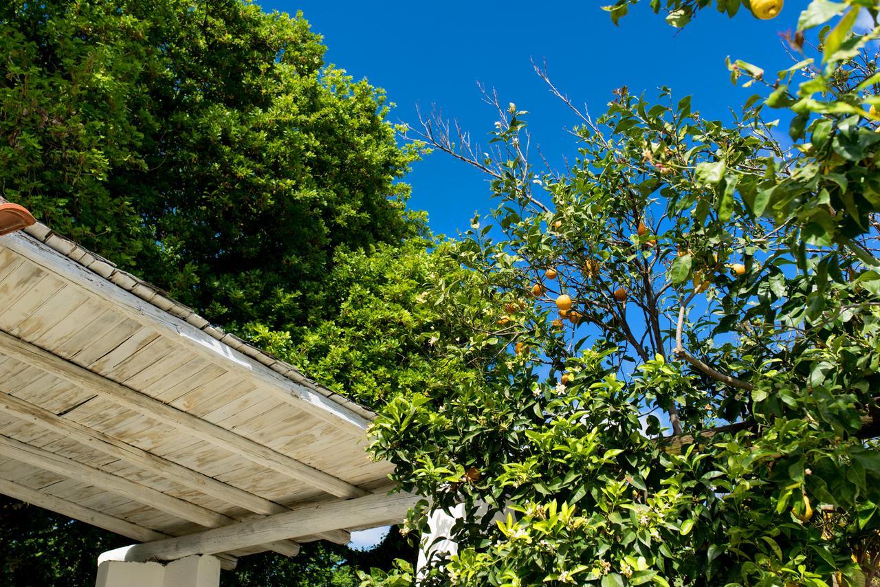 Le Querce Villa Procida Bagian luar foto