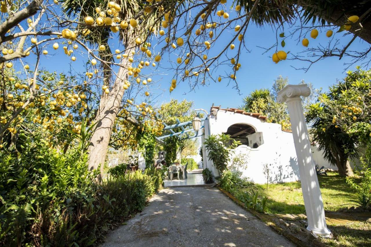 Le Querce Villa Procida Bagian luar foto