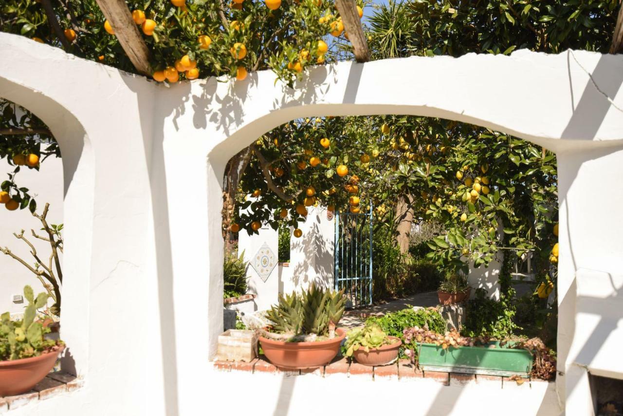 Le Querce Villa Procida Bagian luar foto