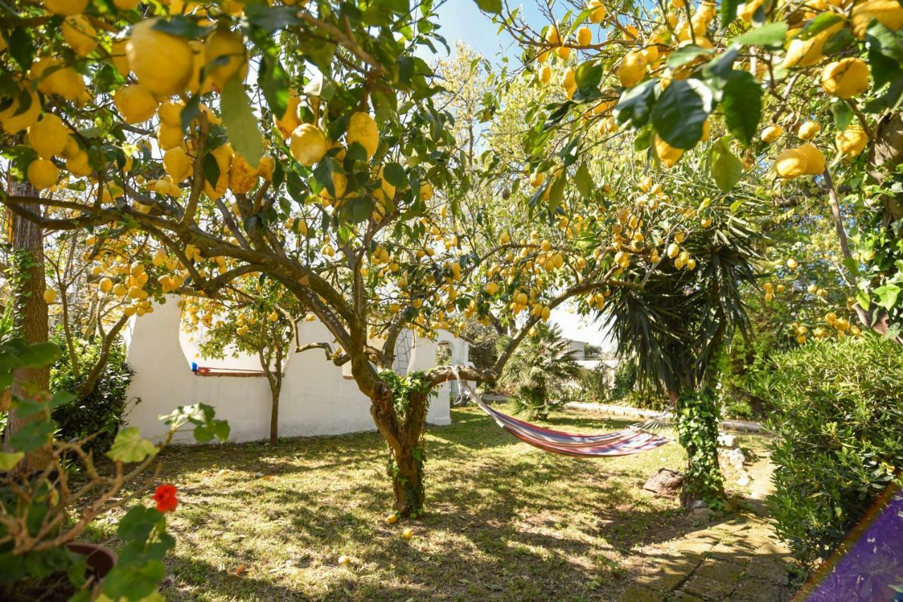Le Querce Villa Procida Bagian luar foto