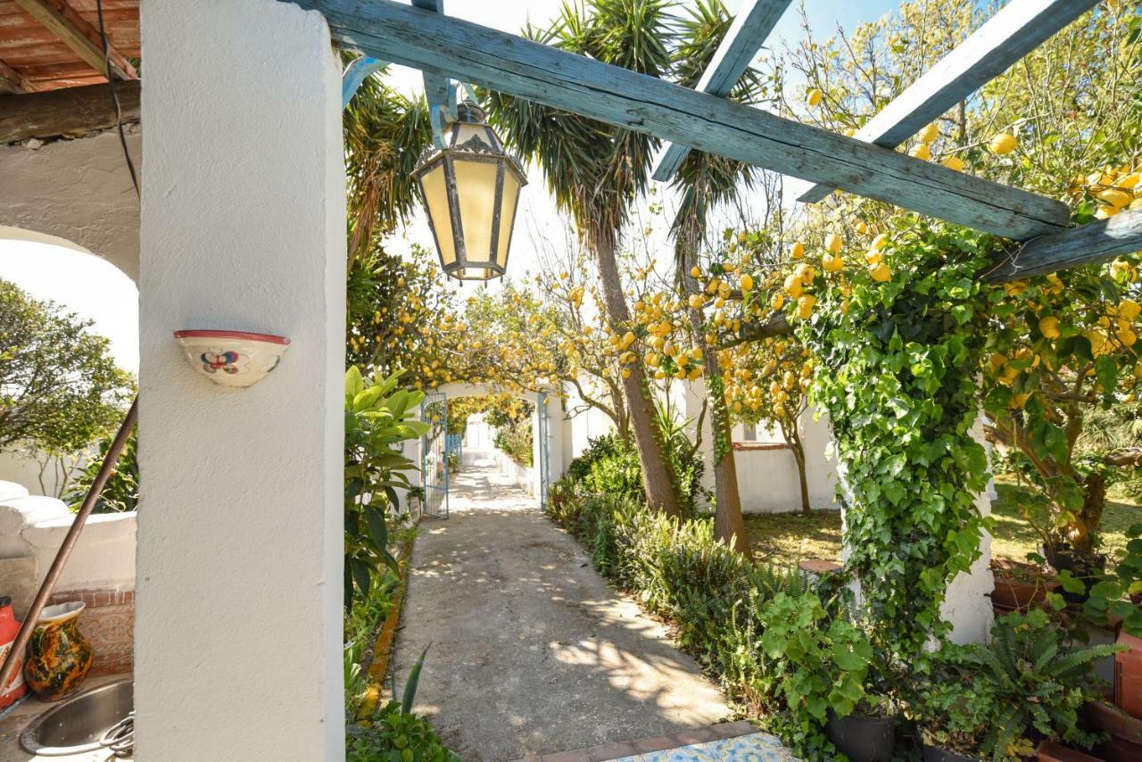 Le Querce Villa Procida Bagian luar foto