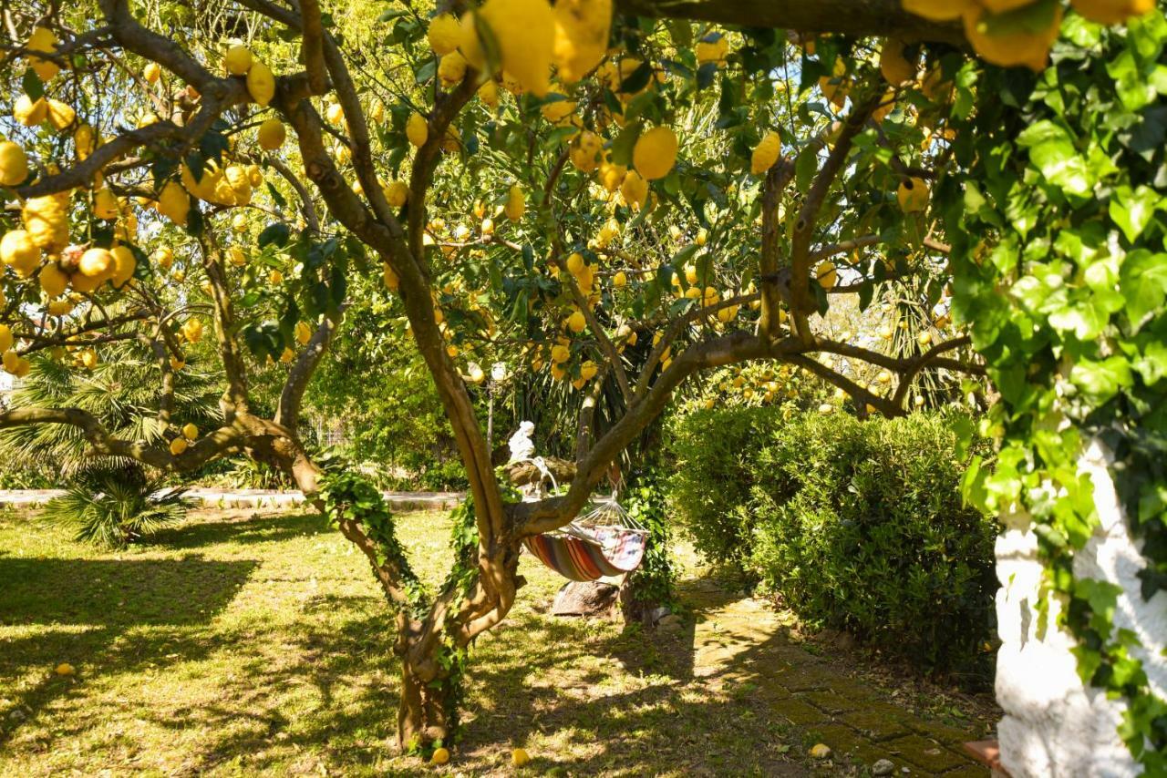 Le Querce Villa Procida Bagian luar foto